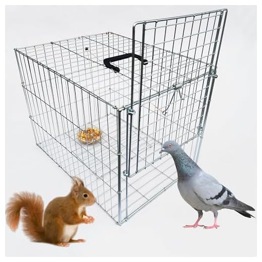 DSQSTMR Animal Trap Cage Pigeon Chicken Squirrel Chipmunk Outside Trapping Live Small Animal Bird Trap Cage