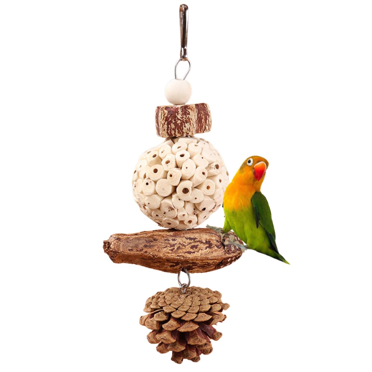 Bird Chew Toy for Pet Bird Parrot Sola Ball Natural Nuts Pinecone Chewing Toy for Small Parakeet Cockatiel Conures Finch Budgie (S)