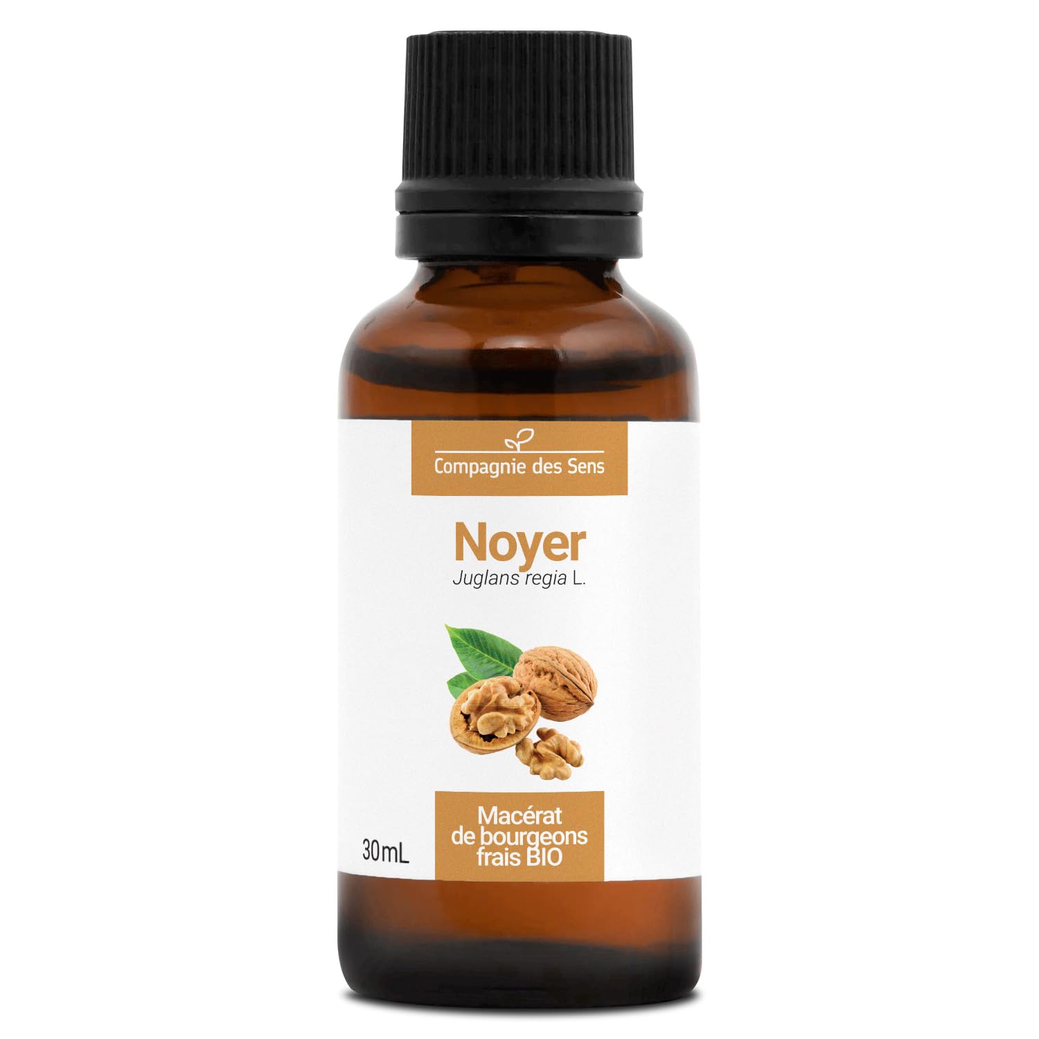 Noyer BIO - 30mL - (Juglans Regia) – Macérat concentré de bourgeons frais