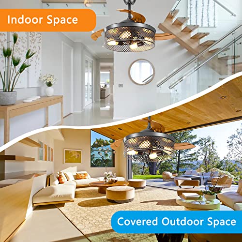 Caged-Ceiling-Fan-with-Light-and-Remote-Control42-inch-Black-Ceiling-Fan-with-LightChandelier-Ceiling-FanModern-Ceiling-Fan-wReversable-Quiet-DC-Motor4-Edison-Bulbs-Needed-Not-Included