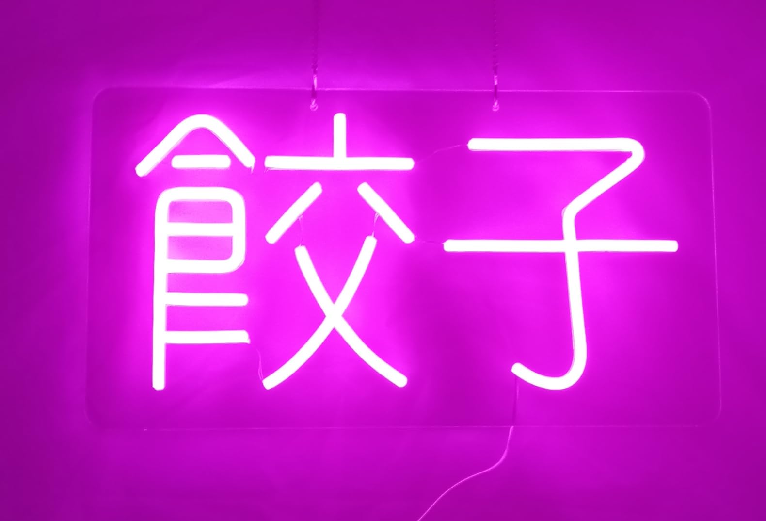 Amazon.co.jp: 「縁錦∞Enえんきki」ネオンライト 餃子 LED ネオン