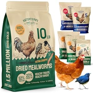 Bulk Dried Mealworms 10 Lbs – Non GMO Dried Mealworms for Chickens – Dried Mealworms for Chickens – Meal Worms for Birds & Chicken Treats for Laying Hens – Organic Chicken Feed