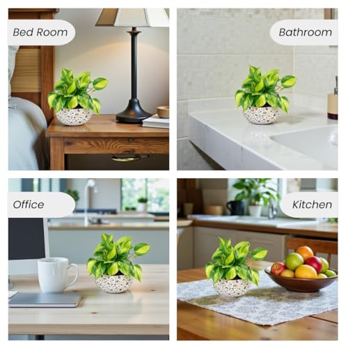 Image of Amulya Farms Indoor Plants for Home | Philodendron Brasil Live Plant in Premium Floral Print Metal Pot | Air Purifying Plants for home, Living Room and Office Decoration | Plants for Home