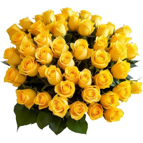 Arabella Bouquets 50 Yellow Roses Bulk Fresh Flowers thumb #2