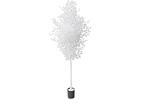 6ft Ficus Tree: Majestic Greenery for Indoor Decor