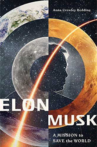 Télécharger Elon Musk: A Mission to Save the World Livre eBook France
