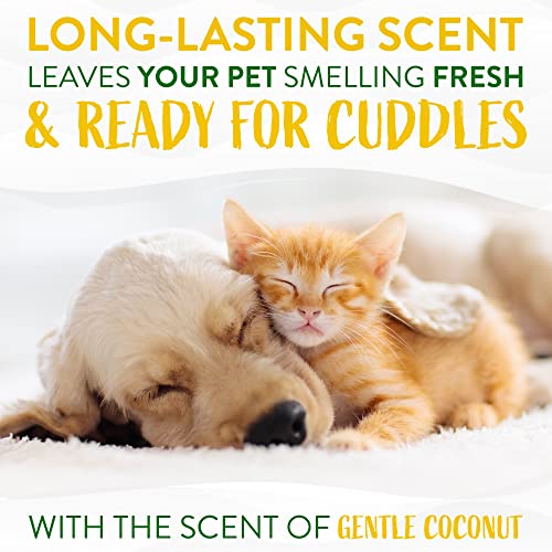 Tropiclean Hypoallergenic Waterless Dog Shampoo | Dry Shampoo For Dogs With Sensitive Skin | Natural Dog Shampoo Derived From Natural Ingredients | Cat Friendly | Made In The Usa | 7.4 Oz #TOP4