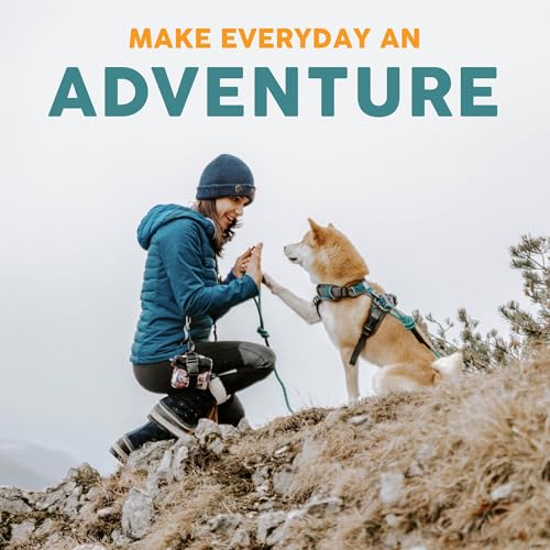 Durable Nylon Dog Collars For Large Dogs Reviews