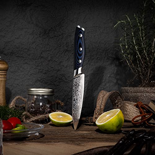 [5-Inch]Utility Paring Knife Fanteck Fruit Knife Damascus Stainless Steel Vg10 Pro Razor Sharp Blade High Carbon 67-Layer Kitchen Cutlery Cutting Chef Fruit Utility Knife Gift Box-Blue G10 Handle #TOP1