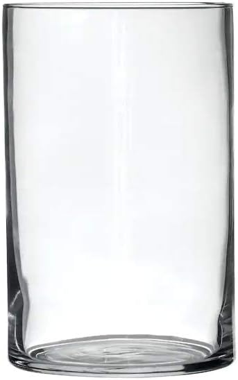 Incrizma Glass Flower Vase (H -10 cm, Clear)