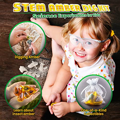 Gobidex G8601 Amber Dig Kit-Artificial Insect Resin, Excavate 6 Insects Specimens, Stem Geographic Educational Bugs Toys, Excavation Toys For Fun Bugs Party Favors, Science Kits thumb #3
