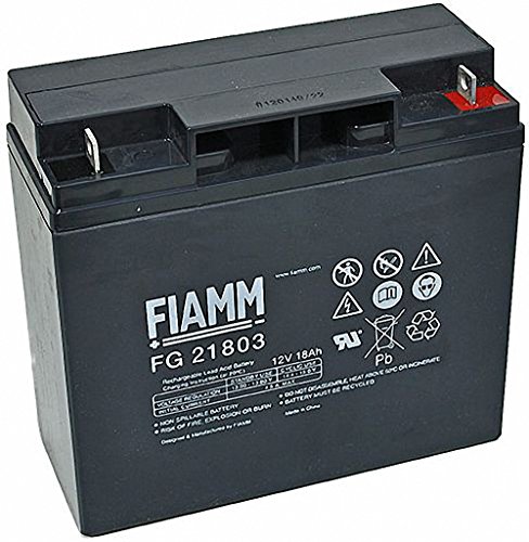 Originele FIAMM accu 12V 18Ah batterij batterij FG21703 / FG21803 UPS USV GF 21703