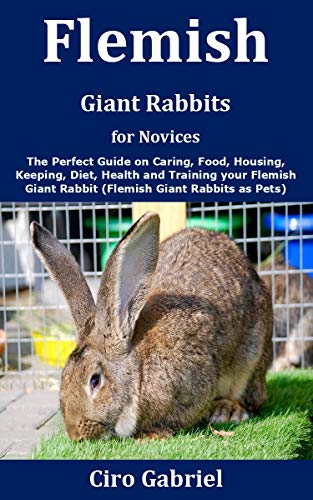flemish giant rabbit food