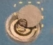 Review Image by Kelly Dulli Kelly Dulli