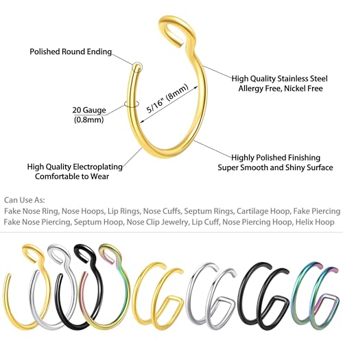 5-12 Pcs Nose Rings Hoops Nose Piercings Nose Piercing Jewelry Fake Nose Ring Fake Piercings Septum Lip Double Hoop Nose Ring Hoop Nose Rings for Women Clip On Helix Cartilage Hoop Earrings3