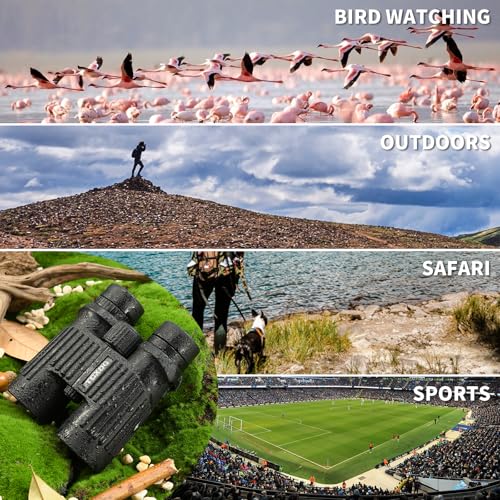 Binóculos HD 10 x 42 com adaptador de telefone e monóculos de canto 8 x 20 - binóculos de visão gran