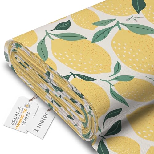 DreamRoots Segeltuch Wasserdicht - Polsterstoff Meterware 160 cm breit - Wasserabweisender Stoff 220 g/m2 600D - Markisenstoff Wasserdicht Meterware Lemons Cartoon 1M