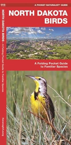 North Dakota Birds: A Folding Pocket Guide To Familiar Species (Wildlife And Nature Identification) #TOP22