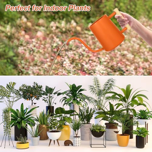 Image of Watering Can Indoor Plants, 35 oz /1000 ml Metal Stainless Steel Watering Can Pot with Long Spout for Indoor House Plants Bonsai Outdoor Garden Flower Decorative (Orange)