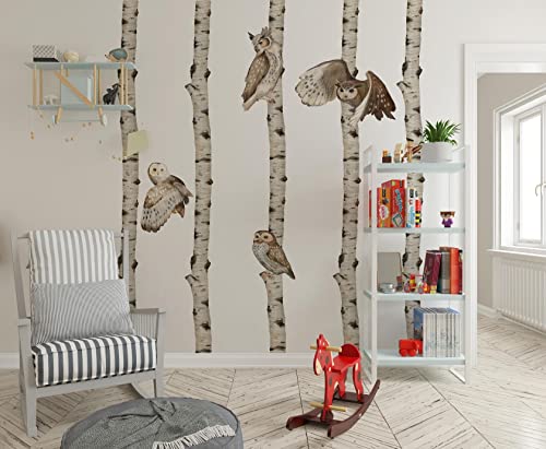igibee Sticker mural avec bouleau et hiboux, autocollant pour chambre d'enfant, garçon et fille, décoration murale pour enfants, facile à poser et à...