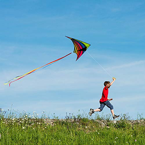 Mint's Colorful Life Rainbow Delta Drachen für Kinder Erwachsene & anfänger – Ansicht 4