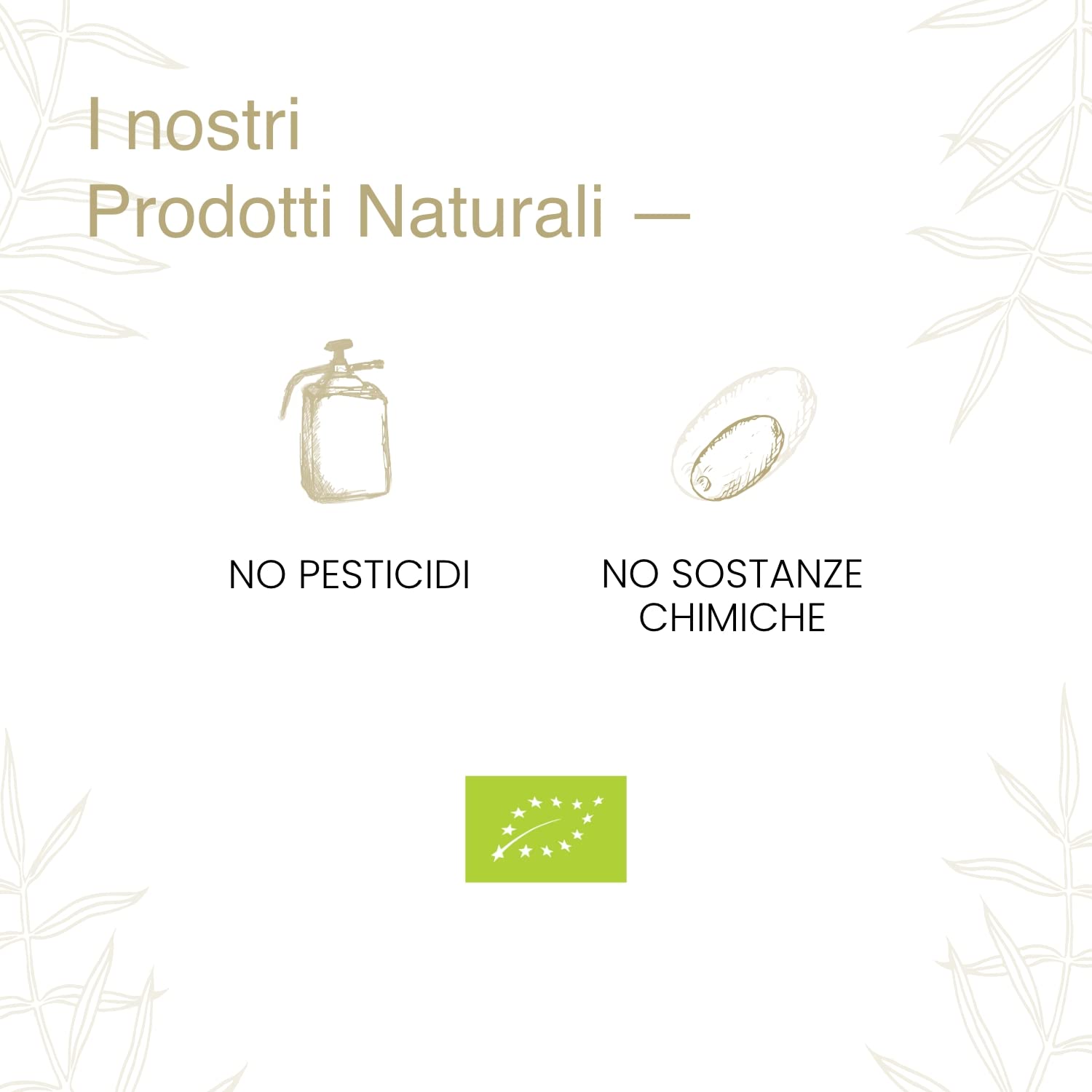 Olio Extravergine di Oliva 100% Siciliano e 100% Biologico, Qualità Biancolilla - Massima Freschezza e Sostenibilità - 1 Latta da 3L