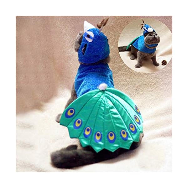 Popetpop dog peacock costume-pet costumes for cats peacocks halloween costumes with hat funny bird costume for small dogs and cats-blue - image 7