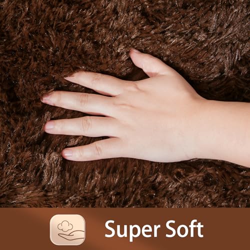 HOMORE Small Rugs for Bedroom 2x3 Feet Brown Rug for Bedroom Bedside Soft Fluffy Area Rugs for Desk Indoor Entrance Door Mat, Small Runner Rugs and Carpets for Dorm Nursery