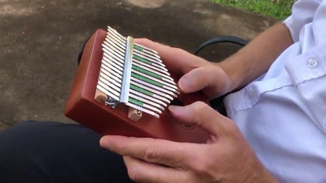 Amazon.co.jp: カリンバ 17キー 初心者セット Kalimba: 音階刻印