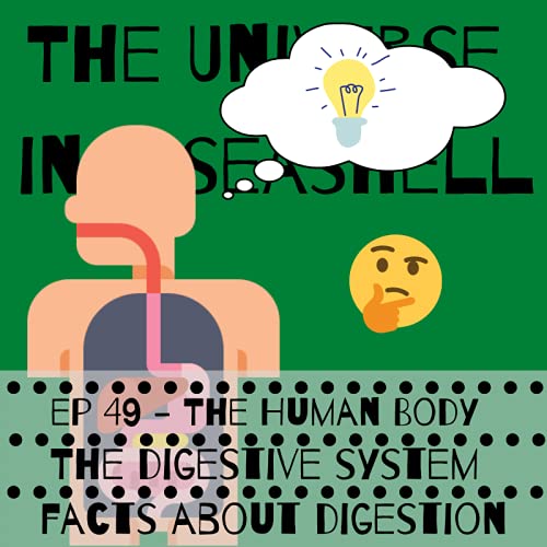 Page de couverture de The Human Body – The Digestive System – Facts about Digestion