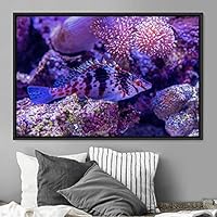 Framed Canvas Wall Art Deep Under Group Jellyfish Marine Life Multicolor Photography Realism Tropical Ultra Whimsical - 16x24 inches