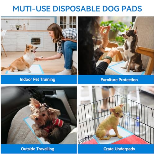 JollyMate Pet Pee Pads - Strong Absorption& Leak-Proof for Dogs - Puppy Pads - Super Absorbent, Waterproof, Quick-Dry, Unscented for Dogs and Cats, Rabbits (Pack of 100 - 22x22)