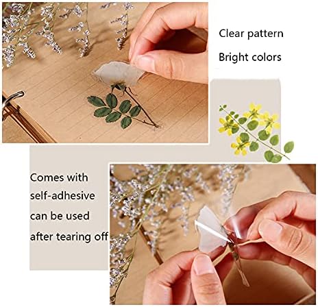 160Pcs Transparent Scrapbooking Sticker Set,Natural Floral and Plant Stickers,Waterproof Stickers,for Journal, Album, Phone Case, Laptop, Card Making