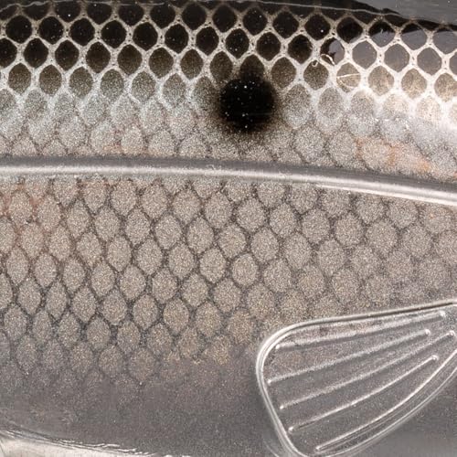 Leurre de pêche wakebait Strike King Wake Shad pour carnassiers en surface
