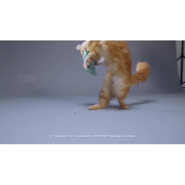 TEMPTATIONS MIXUPS Crunchy and Soft Cat Treats Catnip Fever Flavor, 16 oz. Tub Topdogsupply