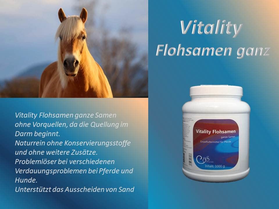 Vitality Flohsamen ganz Pferde - Pferdekot, Sandausscheidung, Kotwasser, Einzelkräuter Pferde (1000 g)
