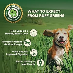 Ruff-Greens-Hip-Joint-Supplement-For-Dogs-Probiotics-Digestive-Enzymes-Powder-for-Mobility-Support-Essential-Vitamins-Minerals-69-ounce - Cucciolini Doodles   Ruff-Greens-Hip-Joint-Supplement-For-Dogs-Probiotics-Digestive-Enzymes-Powder-for-Mobility-Support-Essential-Vitamins-Minerals-69-ounce