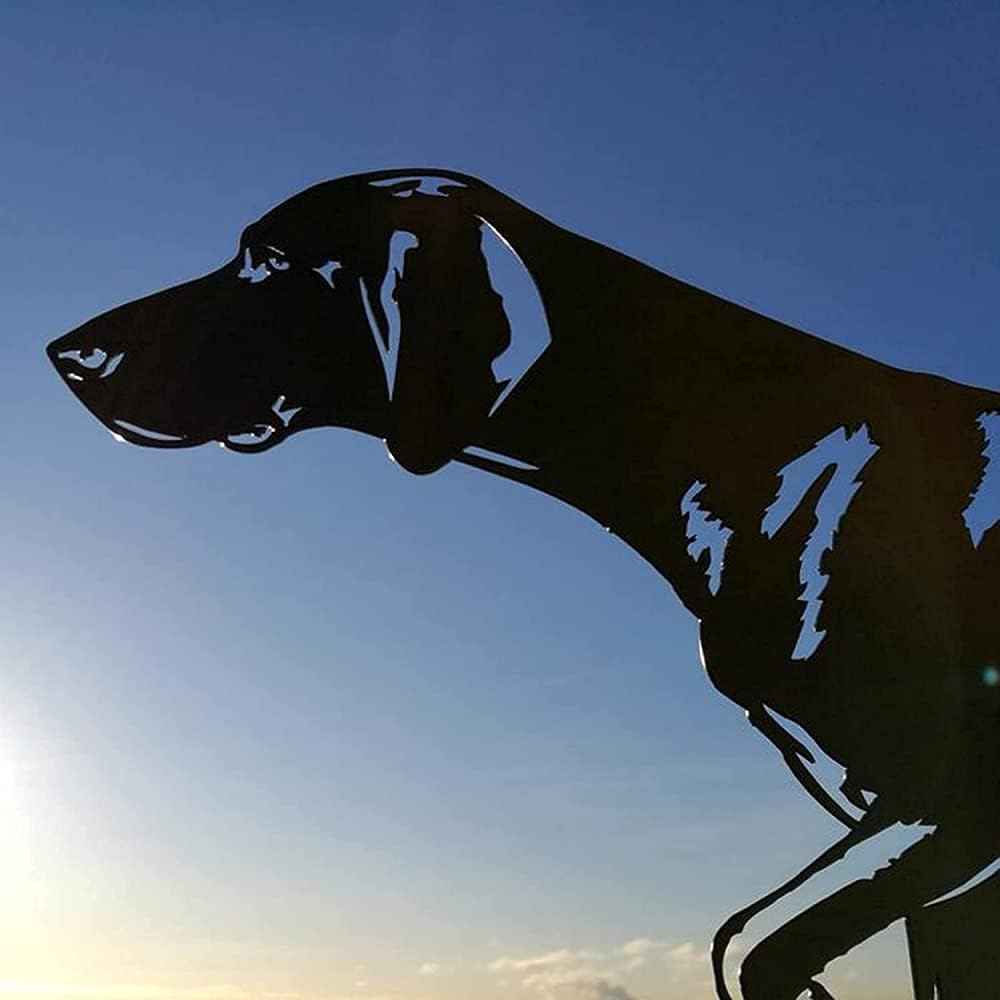 Banderuola segnavento a Forma di Cane da Caccia con indicatore di direzione del Vento e Gallo da Tetto, banderuola segnavento in Metallo retrò da Giardino, Creativa in AC