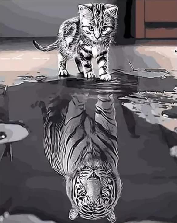 HOME BUY Tiger DIY Acrylic Paint by Number Kit for Adults Kids Beginner Number Painting Kit DIY Canvas Painting by Number. Wall Decoration DIY Painting Kit for Adults, Multicolor (SC0143) (B0D9K6W23B) Amazon Price History, Amazon Price Tracker
