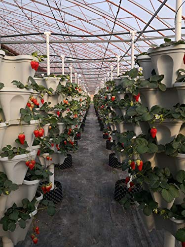 18 Inch Large Stackable Planters (Terra-Cotta) Out Door Garden. Vertical Planter. Made Usa. Easy To Set Up Save A Space. Save A Water. #TOP7