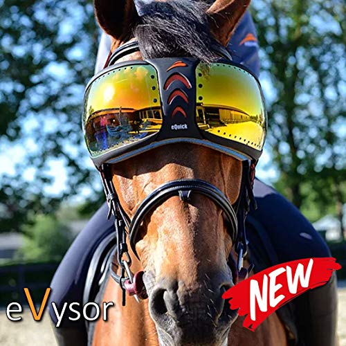 Protect Your Horse's Eyes from UV Rays with UV Eye Protection