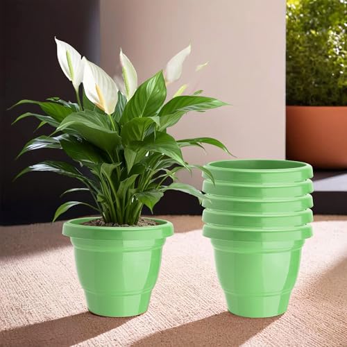 Image of Kuber Industries (Pack of 6) Flower Pot | 2-Layer Fuldani Flower Pot (6 Inch) Pots for Terrace, Garden | Phooldaan for Home D?cor | Synergy Indoor Plant Stand | Pots Stand for Plants | Green