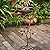 HOUYANG Diam 11.4" W x 31" H Cast Iron Pedestal Bird Bath, Bird Baths for Outdoors,Vintage Metal Bird Bath Garden Yard Decoration