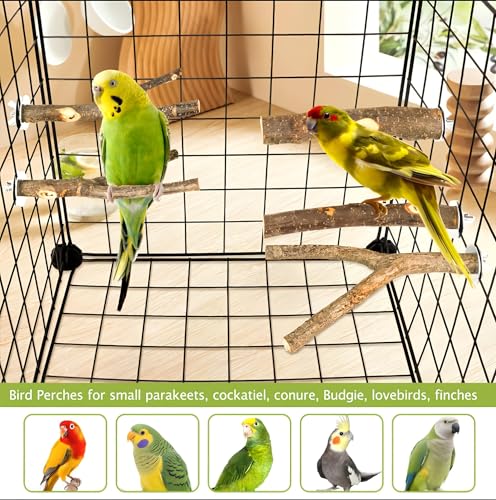 Image of 5PCS Natural Wood Bird Perch Set - Straight & Forked Branch Perches Cage Perches Accessories for Small Medium Birds, Parakeets, Budgies, Cockatiels, Conures