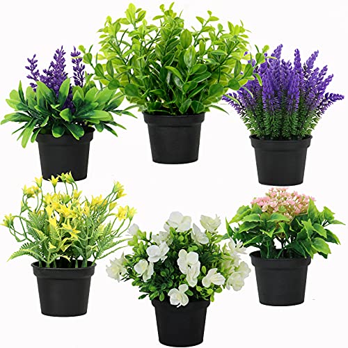 Artificial Potted Plants Green Artificial Plants & Flowers Lavender Flowers Money Leaf Plastic Plant in Pot Set Small Potted Artificial Green Bonsai for Home Decor Outdoor Indoor (6 Packs )