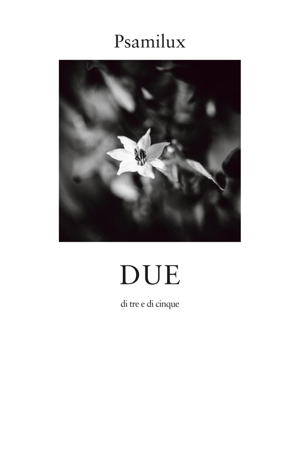 DUE: di tre e di cinque (BEMET)