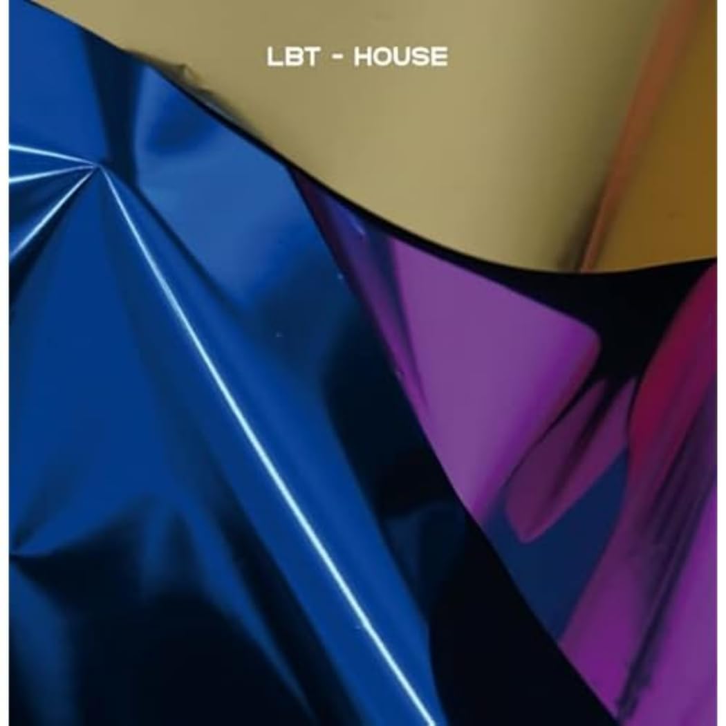HOUSE [10" VINYL]