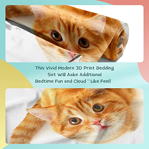 3D Bettwäsche Graue Katzen Bettbezug-Set ,Cartoon Lustige Fette Katze Bettdecke Abdeckung, for Kinder Erwachsene Nette Haustiere Bettbezug 3D Animal Room Decor Mit 2 Kissenbezug(cat-1,220*240cm) - Image 6