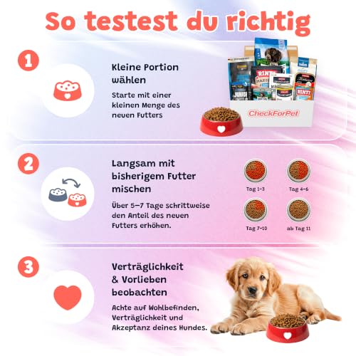 CheckForPet Hundefutter Probierpaket Junior – Welpenfutter Probierbox für Welpen & Junghunde mit Nassfutter und Trockenfutter, Hundefutter trocken & nass von Top-Marken, Geschenkidee