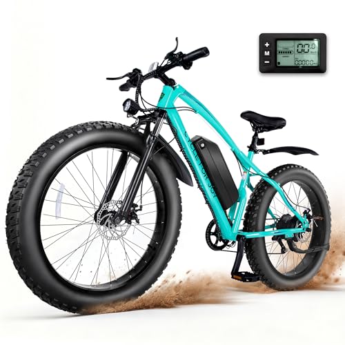 RegalRider Electric Mountain Bike